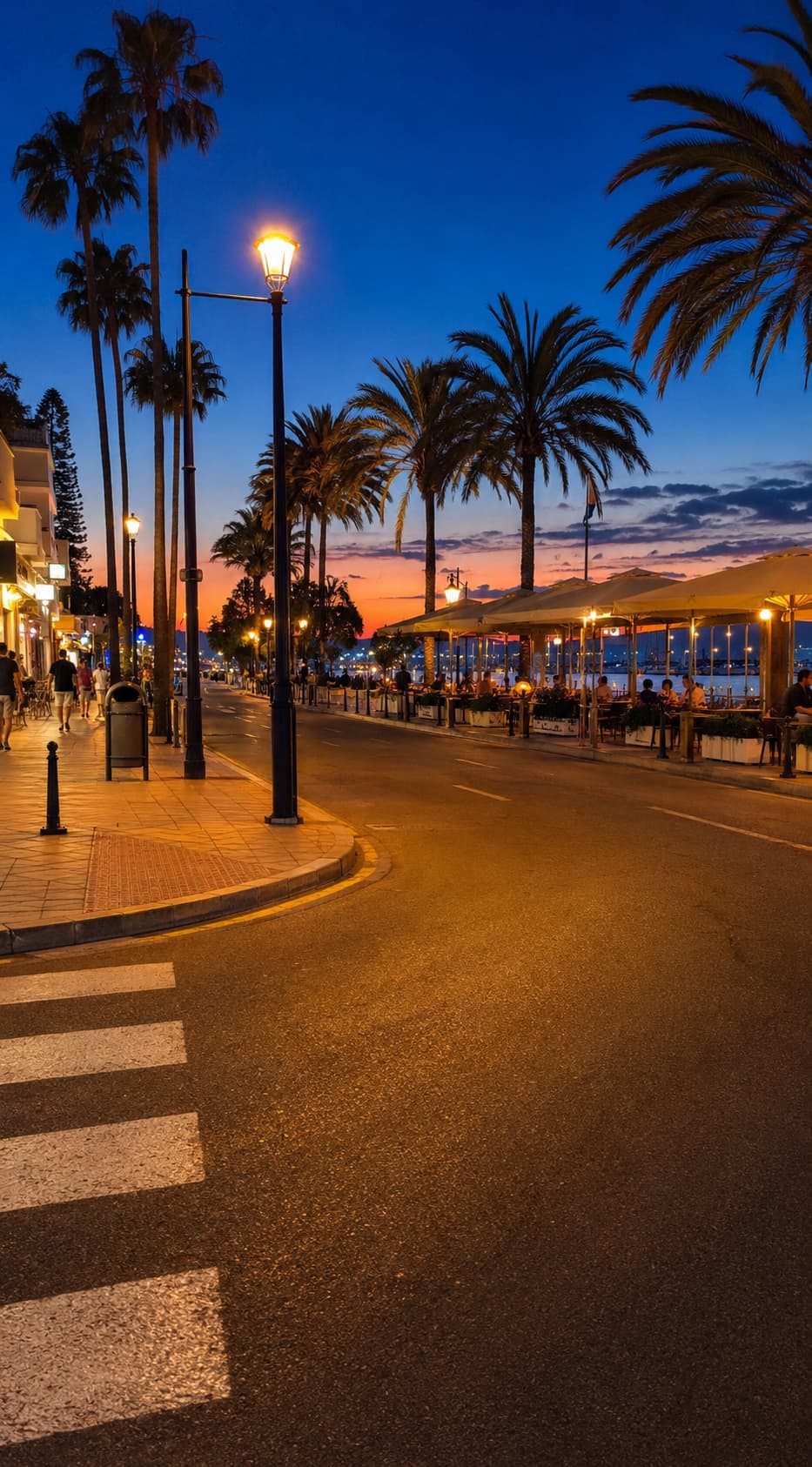 Lit plaza at night near La Seu Cathedral — Mallorca travel guide, Palma de Mallorca
