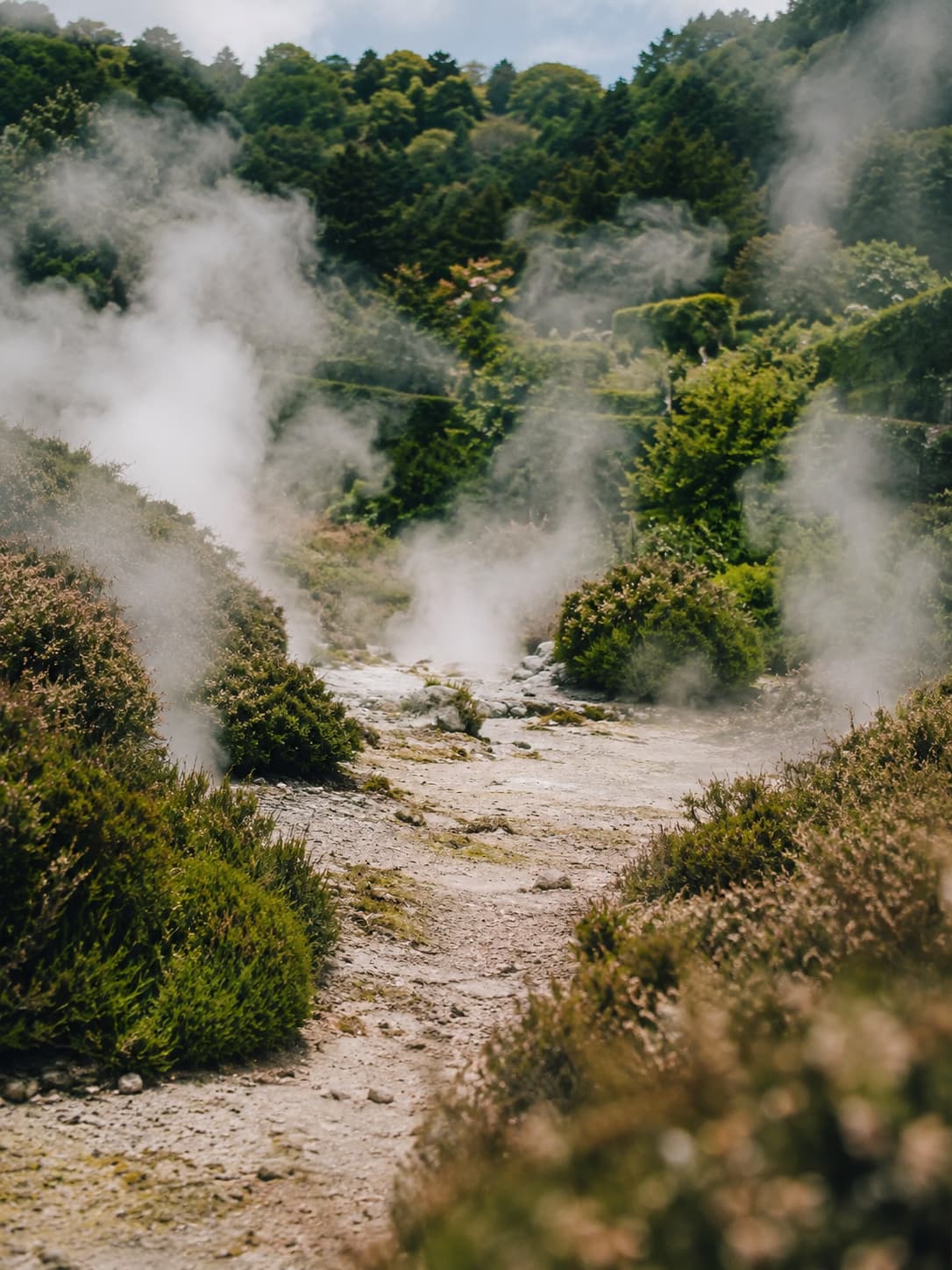 Azores travel guide to São Miguel: volcanic steam rising from the geothermal fumaroles in the Furnas valley