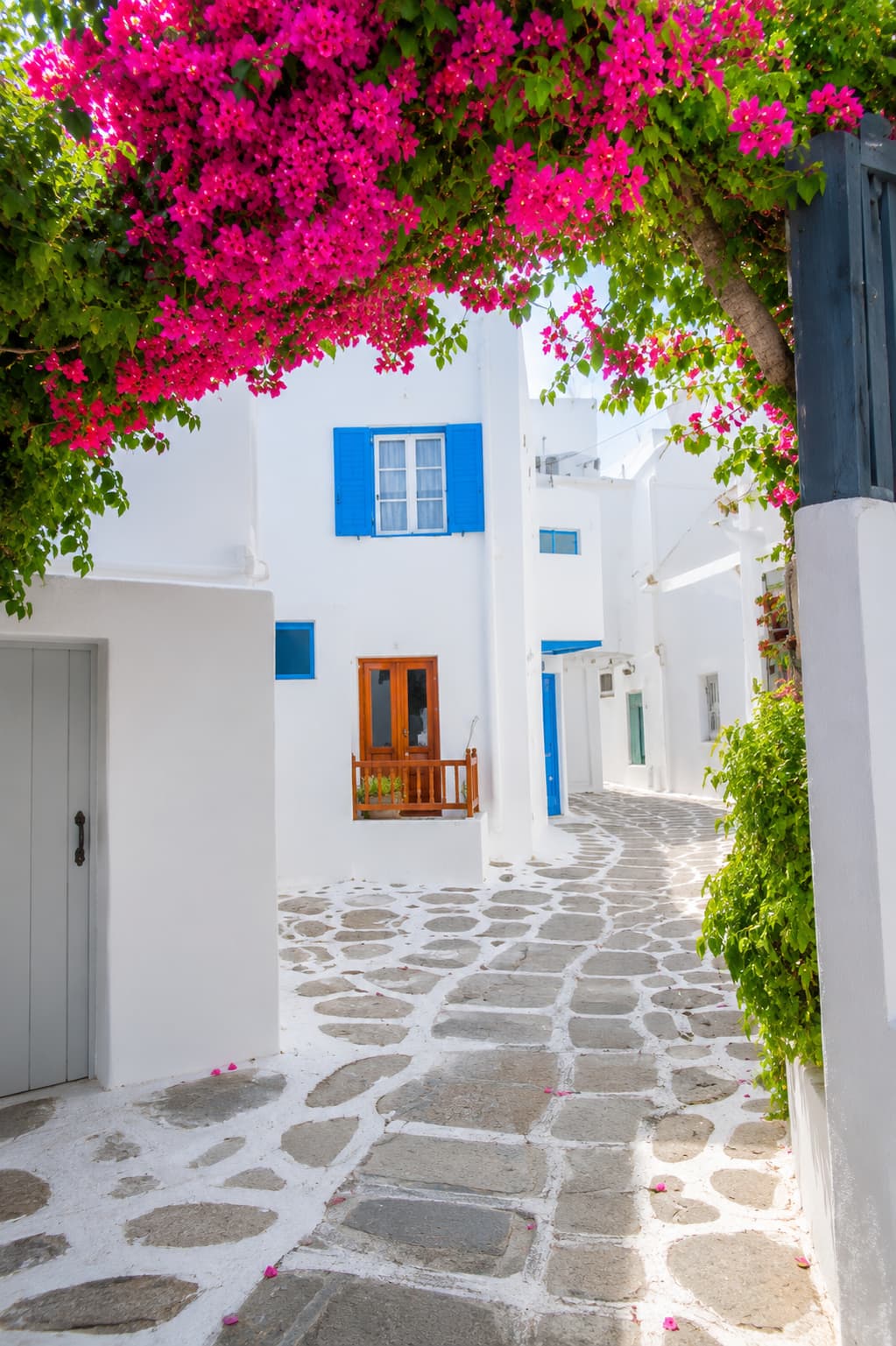 A quiet whitewashed Cycladic lane with bougainvillea, the calmer side of the Greek islands