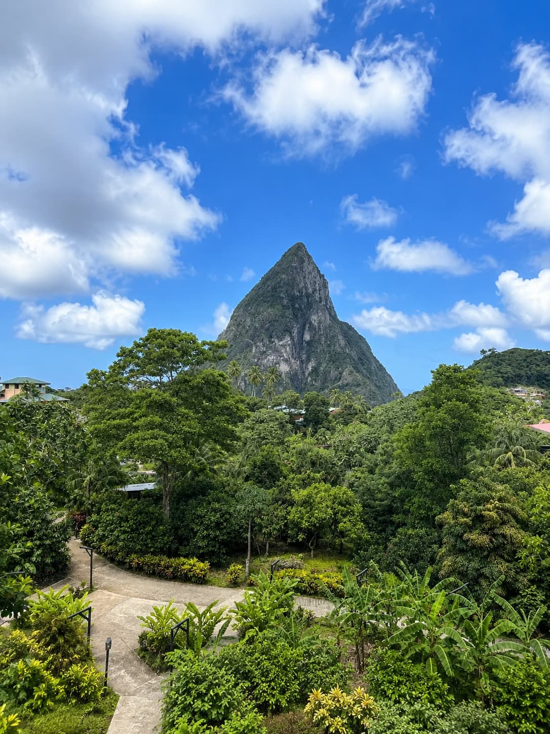 A Piton rising above green rainforest in St. Lucia, one of the best Caribbean islands to visit for dramatic scenery