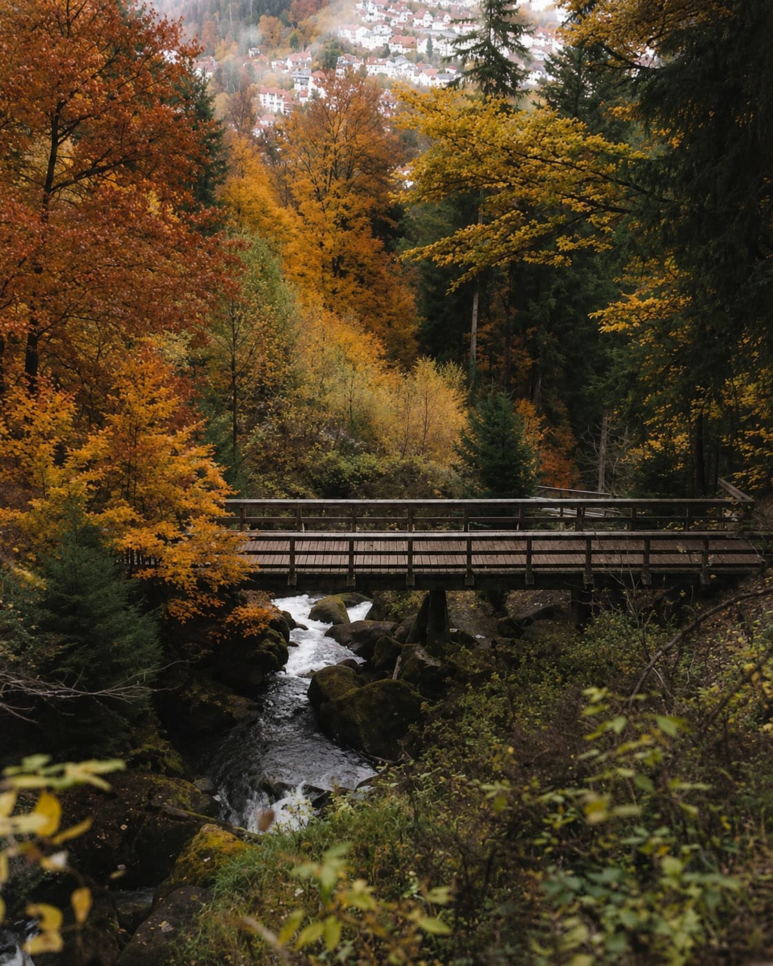 Wooden bridge over a rushing mountain stream surrounded by beech and fir trees in autumn colours of orange and gold, hillside village visible above