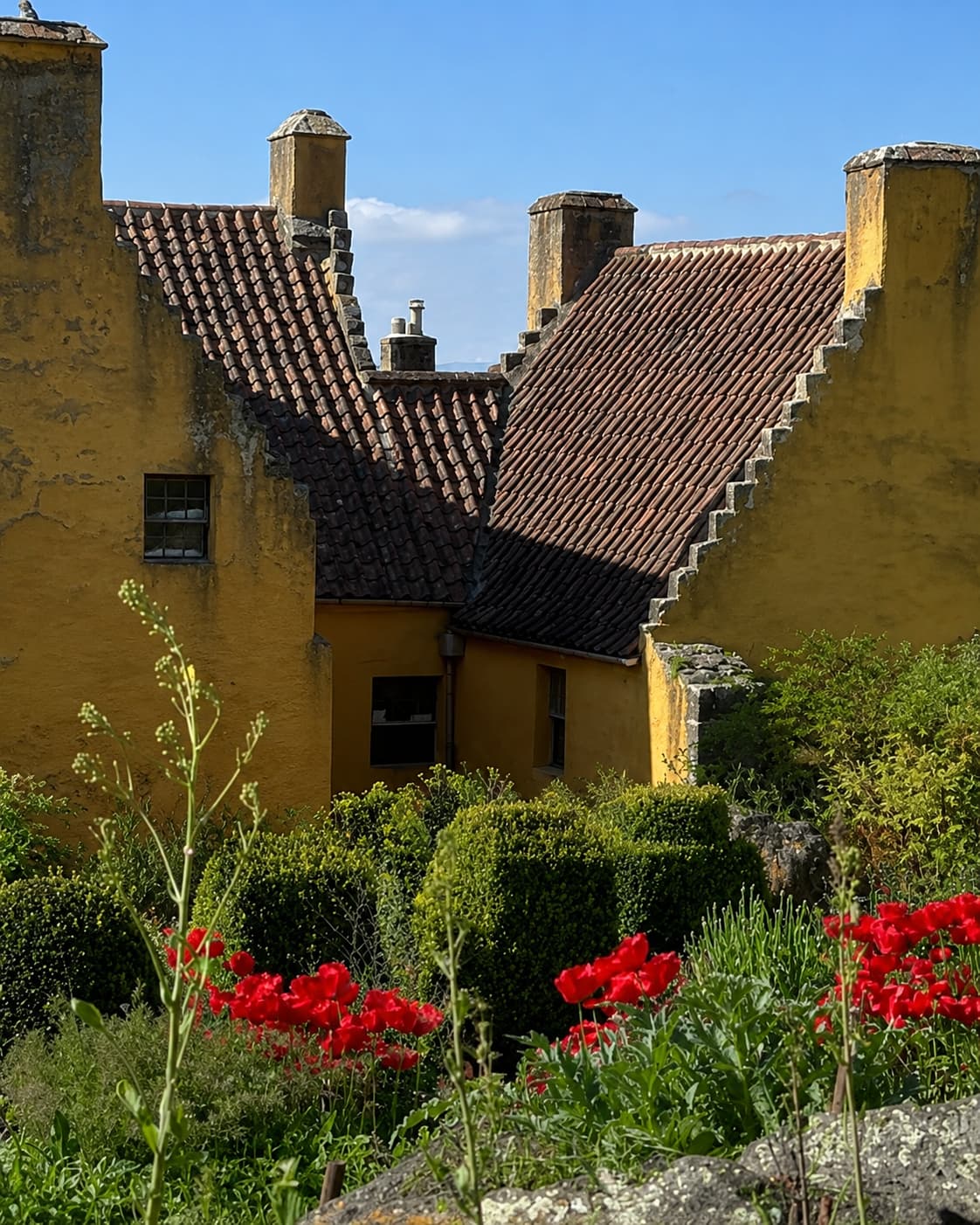 Culross Palace garden Fife Scotland — ochre yellow palace walls with crow-stepped gables and red pantile roof, red poppies in the foreground garden, Outlander filming location