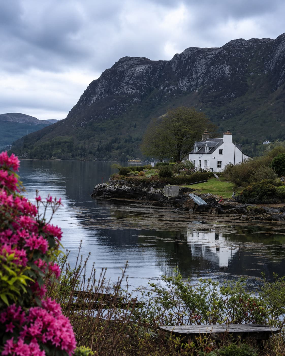 Plockton Loch Carron Scotland — white cottage reflected in the still loch, mountains behind, pink rhododendrons in foreground, one of the most beautiful villages to visit in Scotland