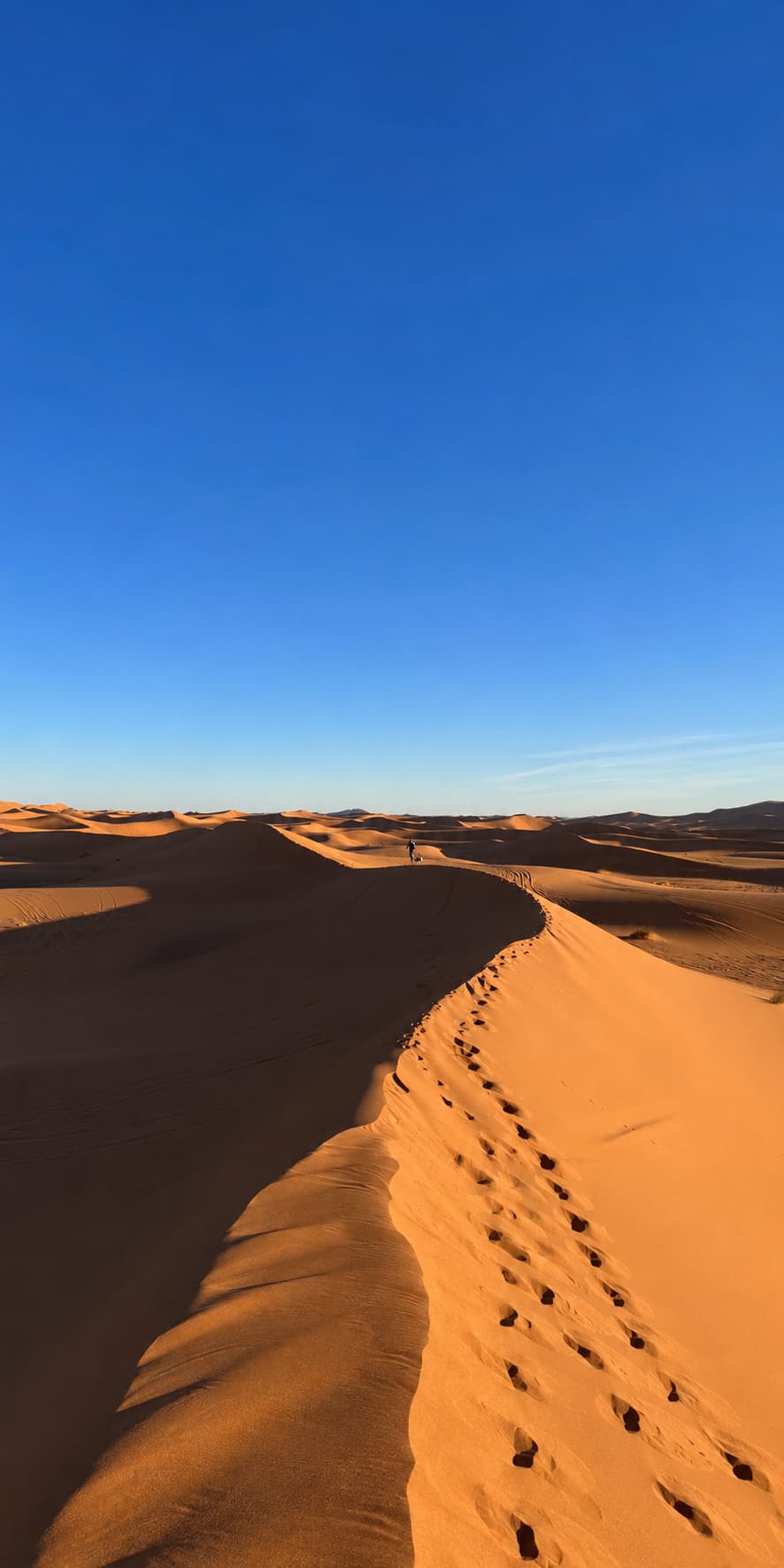 A sweeping view along a high Merzouga dune ridge at Erg Chebbi, Morocco, with a lone figure visible in the distance and deep shadows across the orange sand face under a vivid blue sky