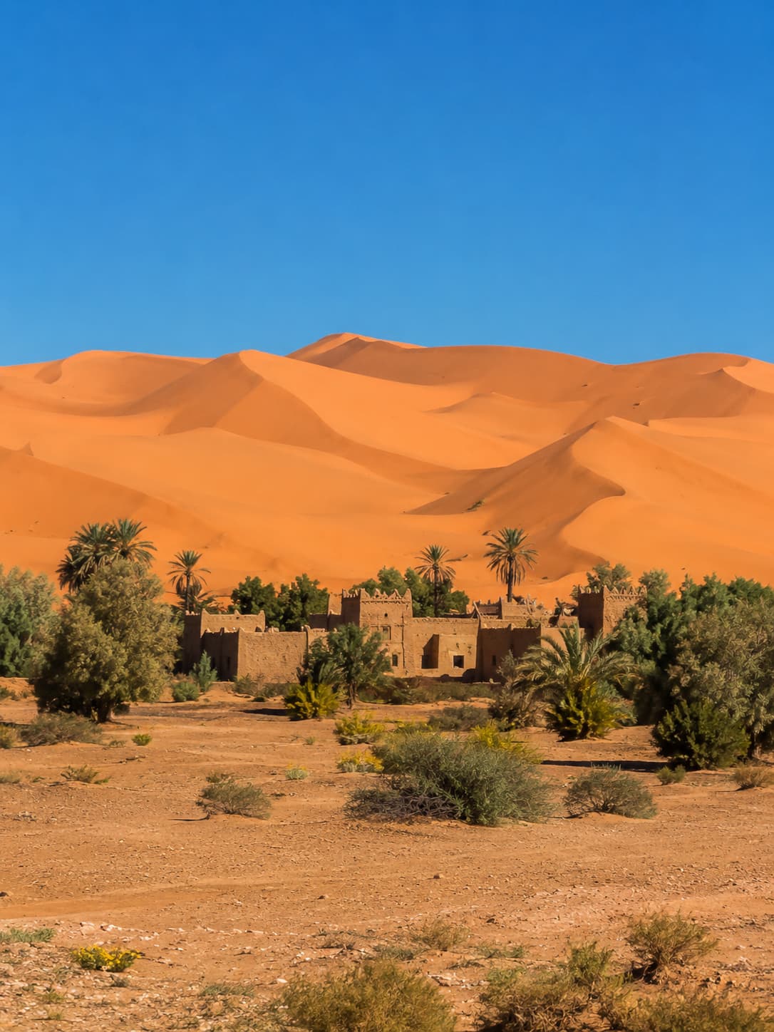 An ancient kasbah ruin surrounded by palm trees and scrubland in front of the towering orange Erg Chebbi dunes near Merzouga, Morocco, under a deep blue sky