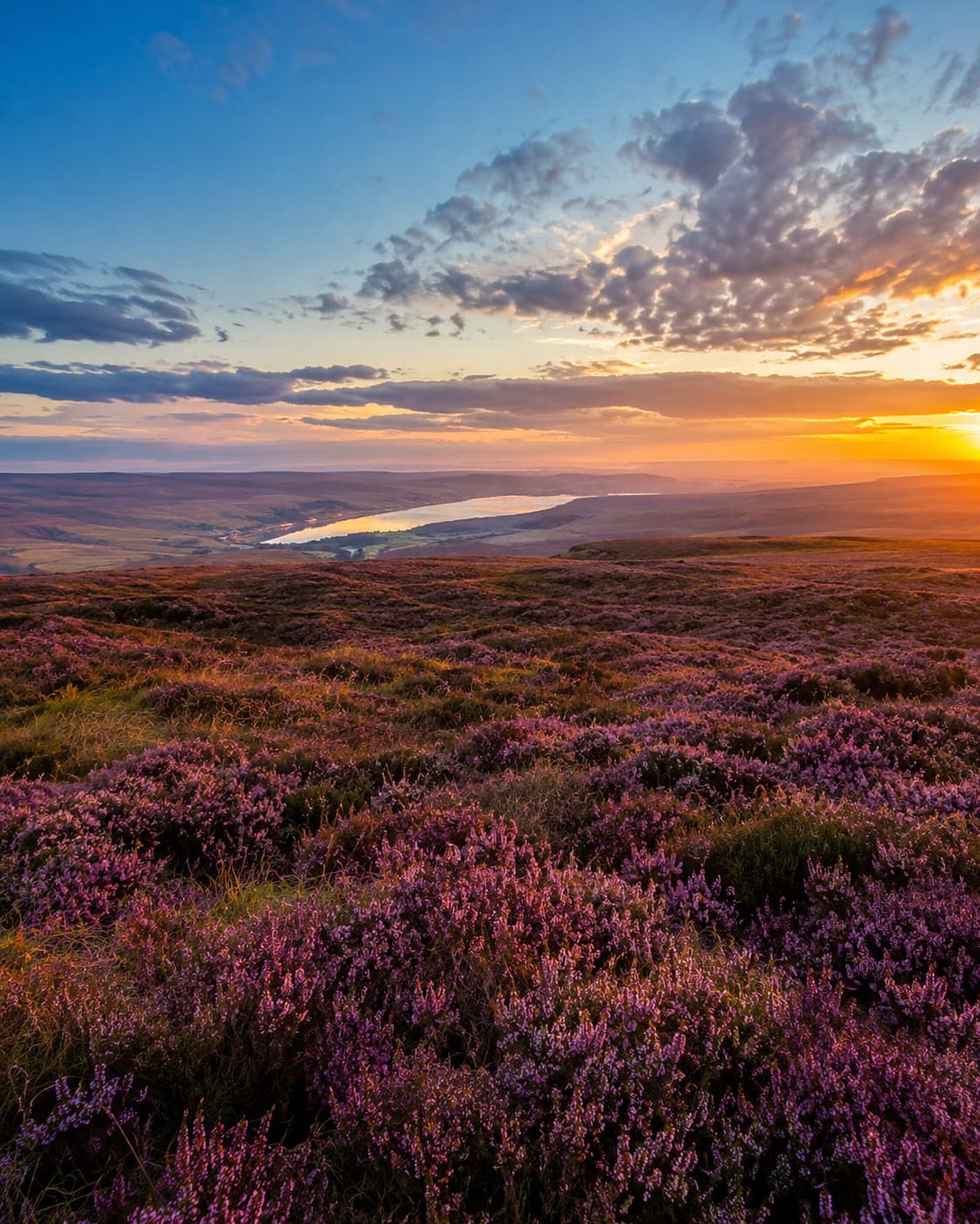 Scottish heather moorland at sunset with a loch in the distance — the Highland landscape central to Outlander Scotland