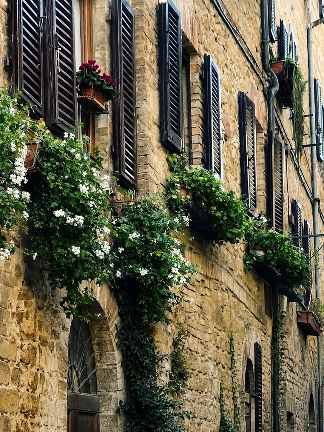 stone building facade in an Italian hill town with dark wooden shutters and flowering vines climbing the walls