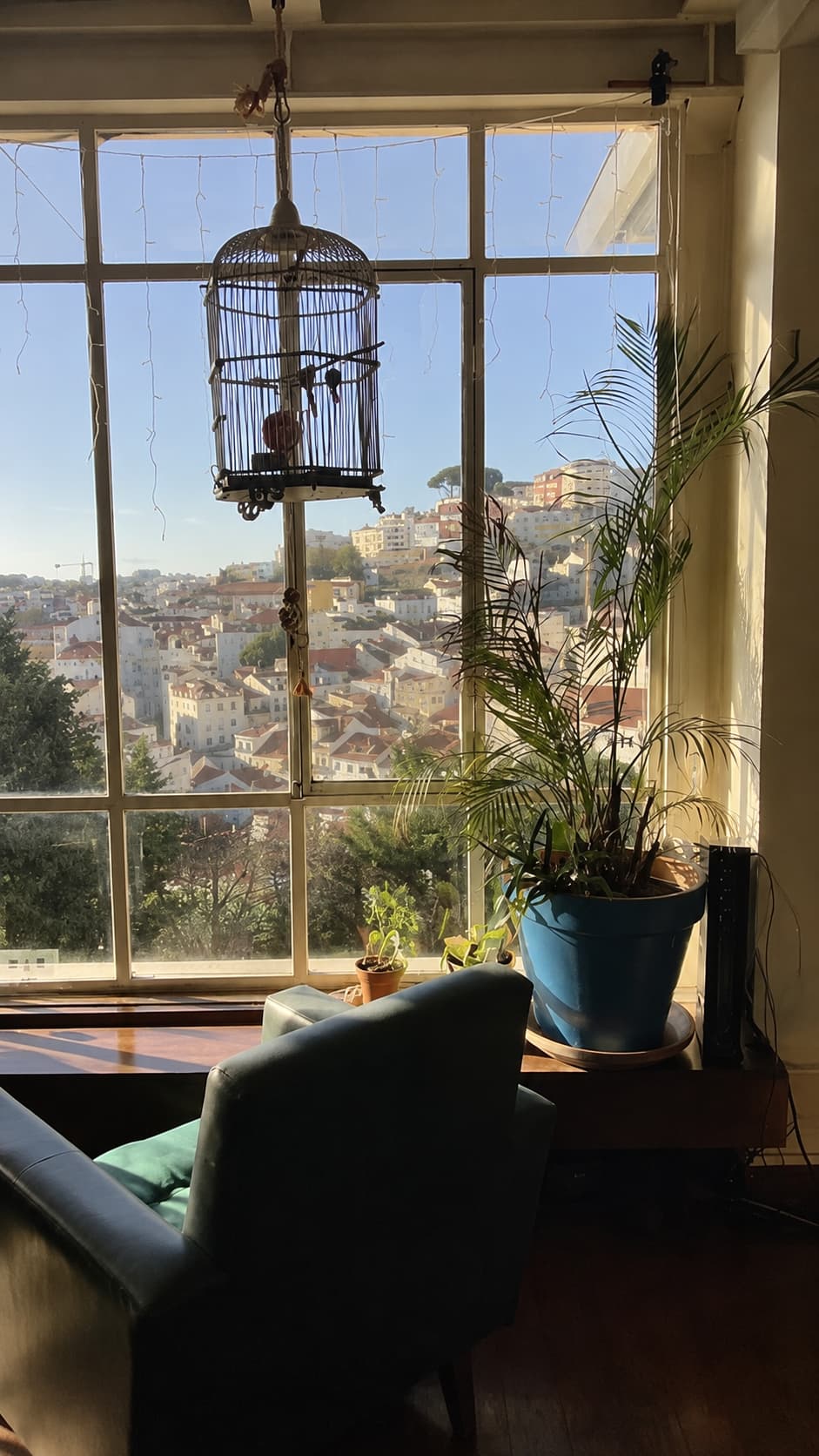 Armchair by a hostel window overlooking Lisbon rooftops in golden afternoon light
