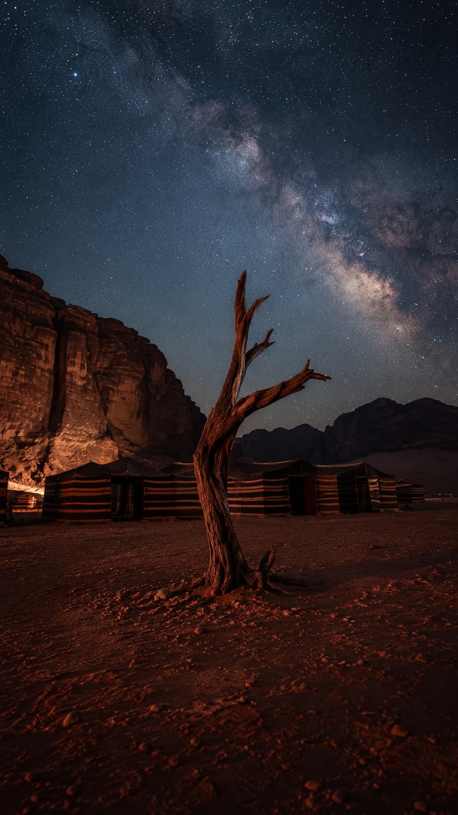 A traditional Wadi Rum desert camp at night with the Milky Way arching overhead, a bare tree silhouetted against the star-filled sky