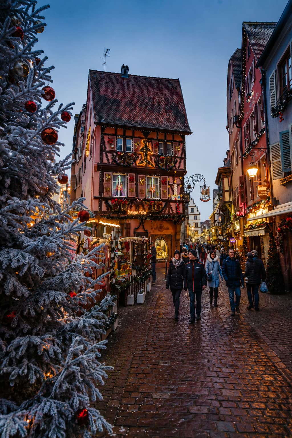 Colmar Alsace Christmas market street at dusk with half-timbered building and snow-dusted trees