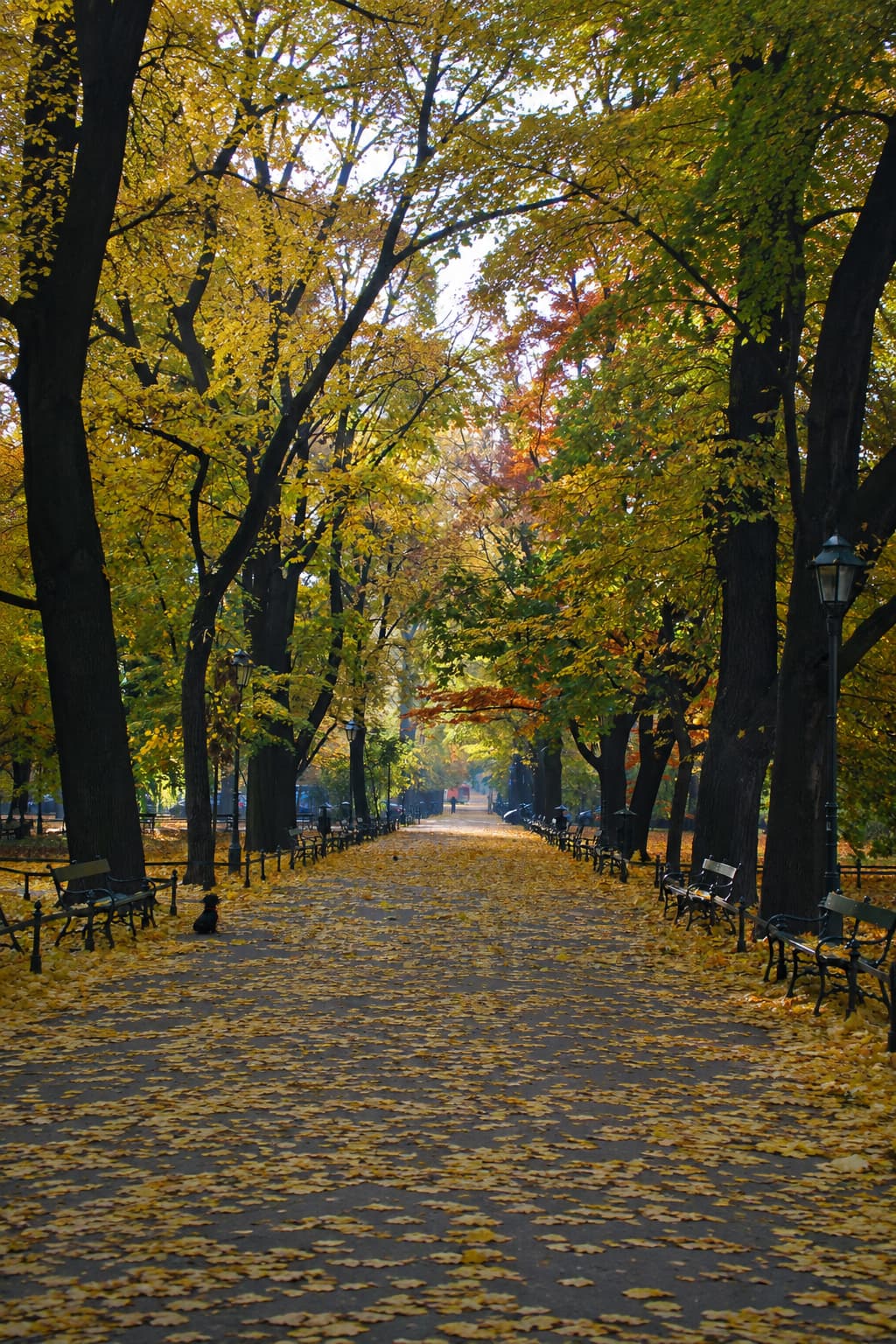Planty gardens Kraków in October with golden autumn foliage lining the park path, best European cities in October