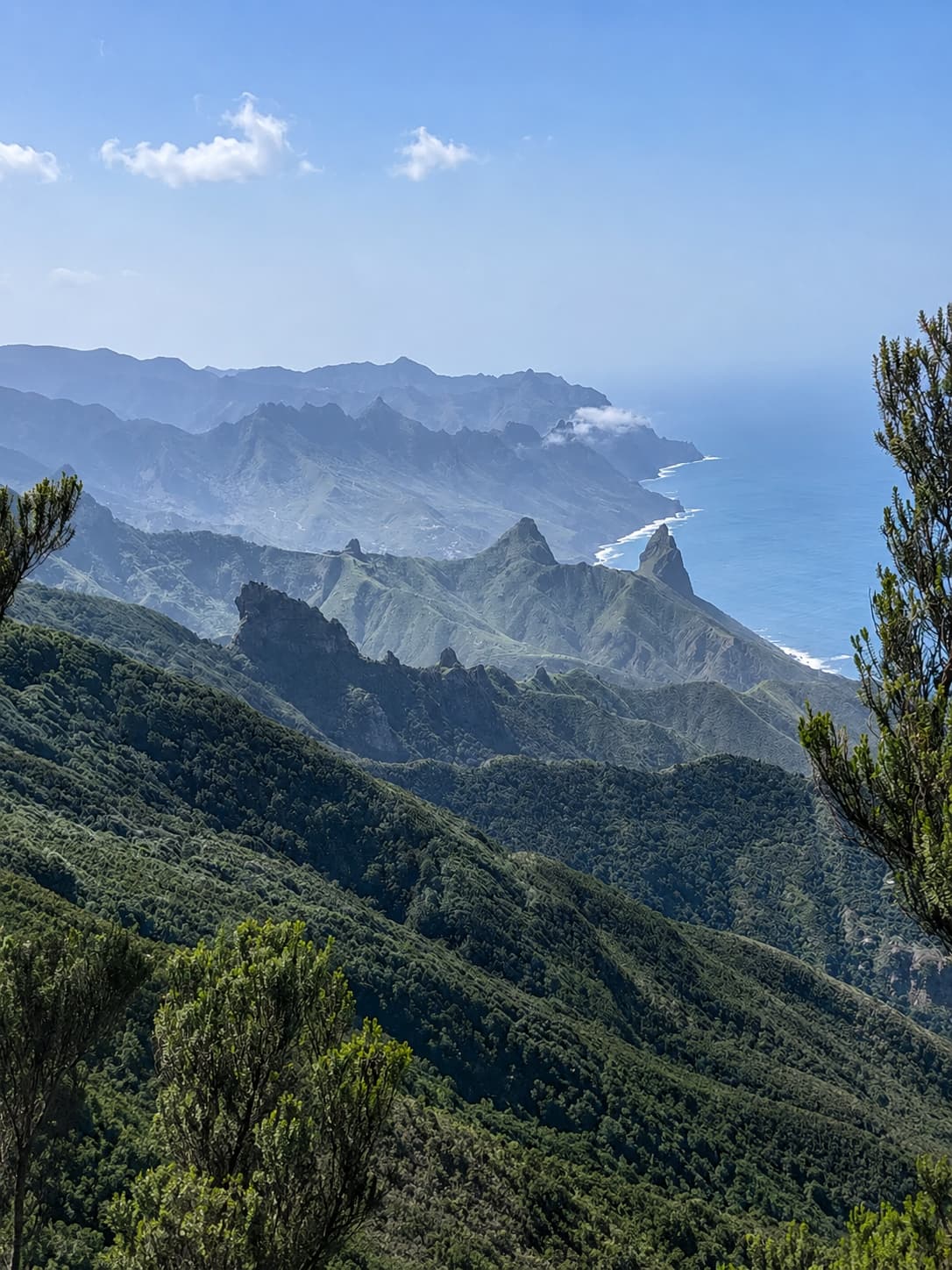 The dramatic green volcanic ridges of the Anaga mountains in Tenerife dropping to the Atlantic coastline — hiking in the Canary Islands is one of the best reasons to go to Europe in November