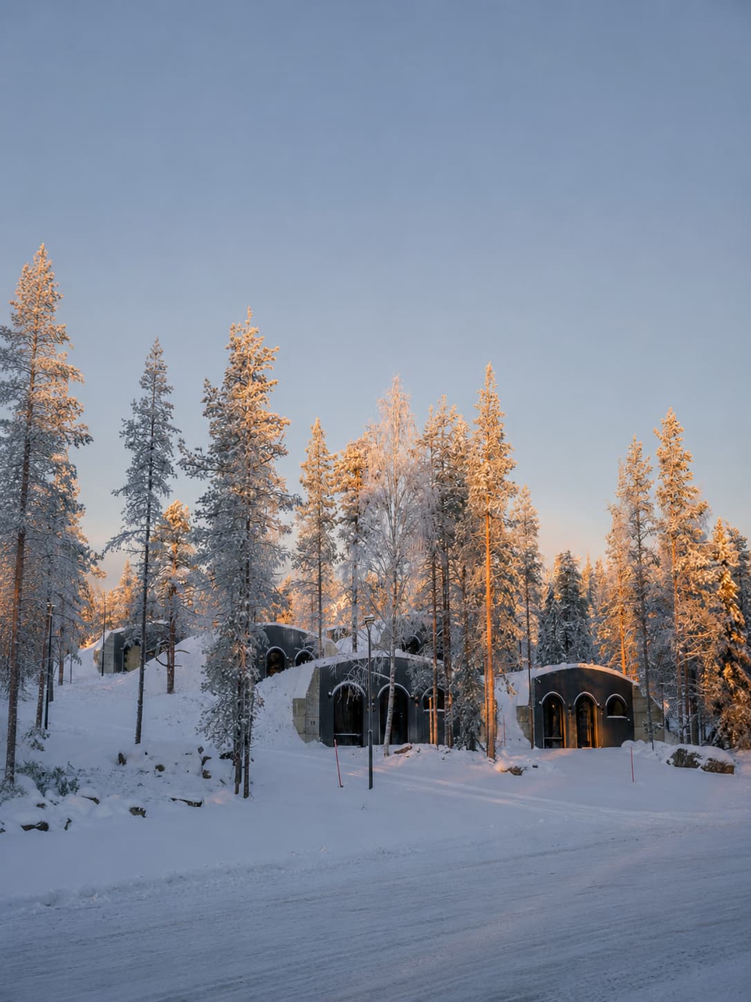 Winter accommodation in Lapland — dark cabin lodges among snow-covered pines in golden twilight, typical of Saariselkä-area stays