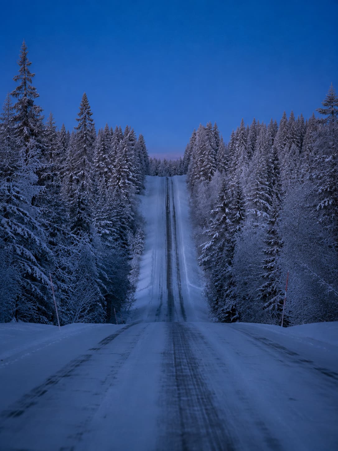 Empty winter road through snowy pine forest in Finnish Lapland at blue hour — driving between bases is a key part of planning where to stay in Lapland