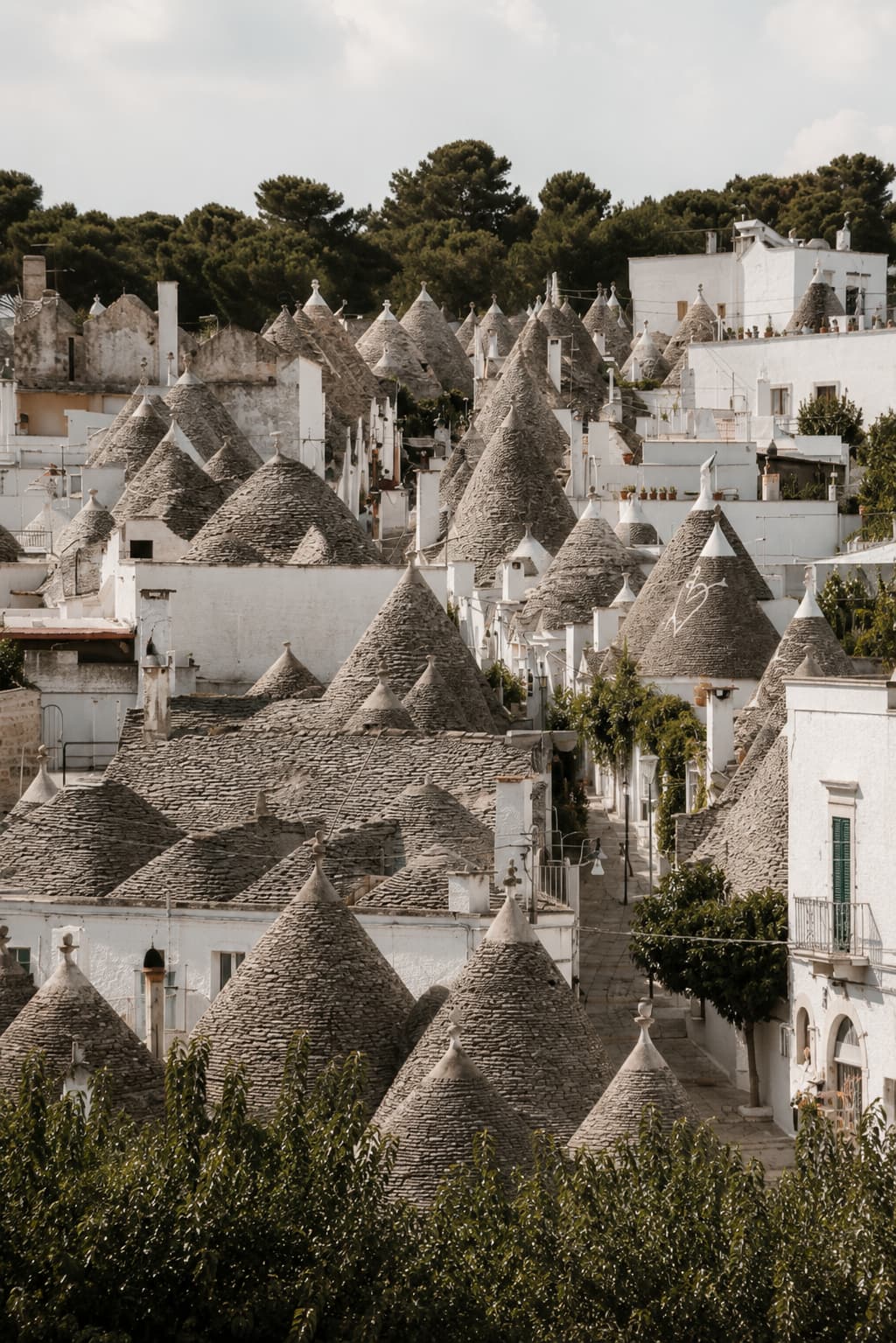 Aerial view of Alberobello trulli rooftops in Puglia — dozens of conical stone roofs in the Valle d'Itria, trees visible between whitewashed buildings