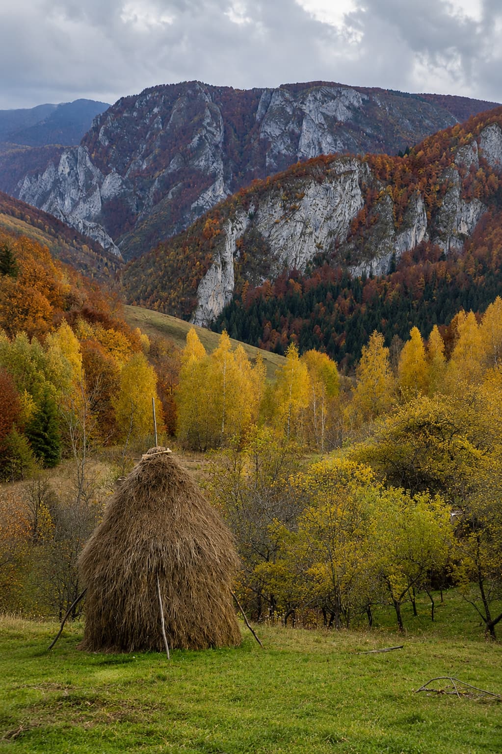 Traditional Romanian haystack in an autumn meadow below Carpathian limestone peaks, hillsides covered in gold, rust and deep red foliage — Transylvania in October