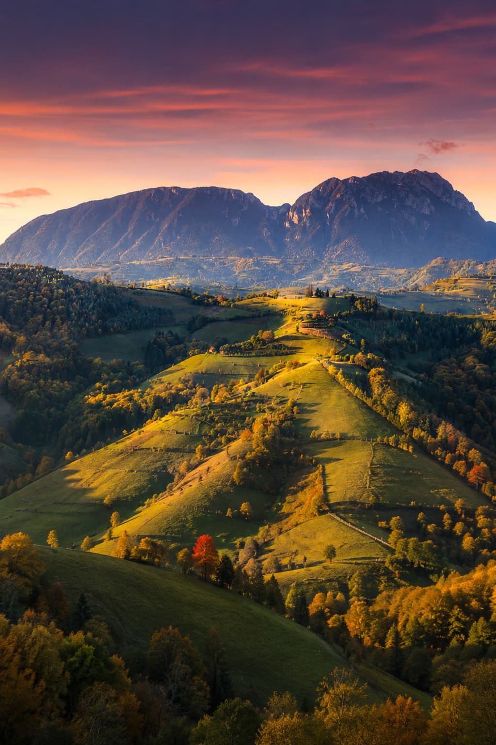 Sunset panorama over rolling Carpathian hills near Brașov, Transylvania — green meadows, autumn-coloured forest, a dark mountain ridge and a vivid pink-orange sky