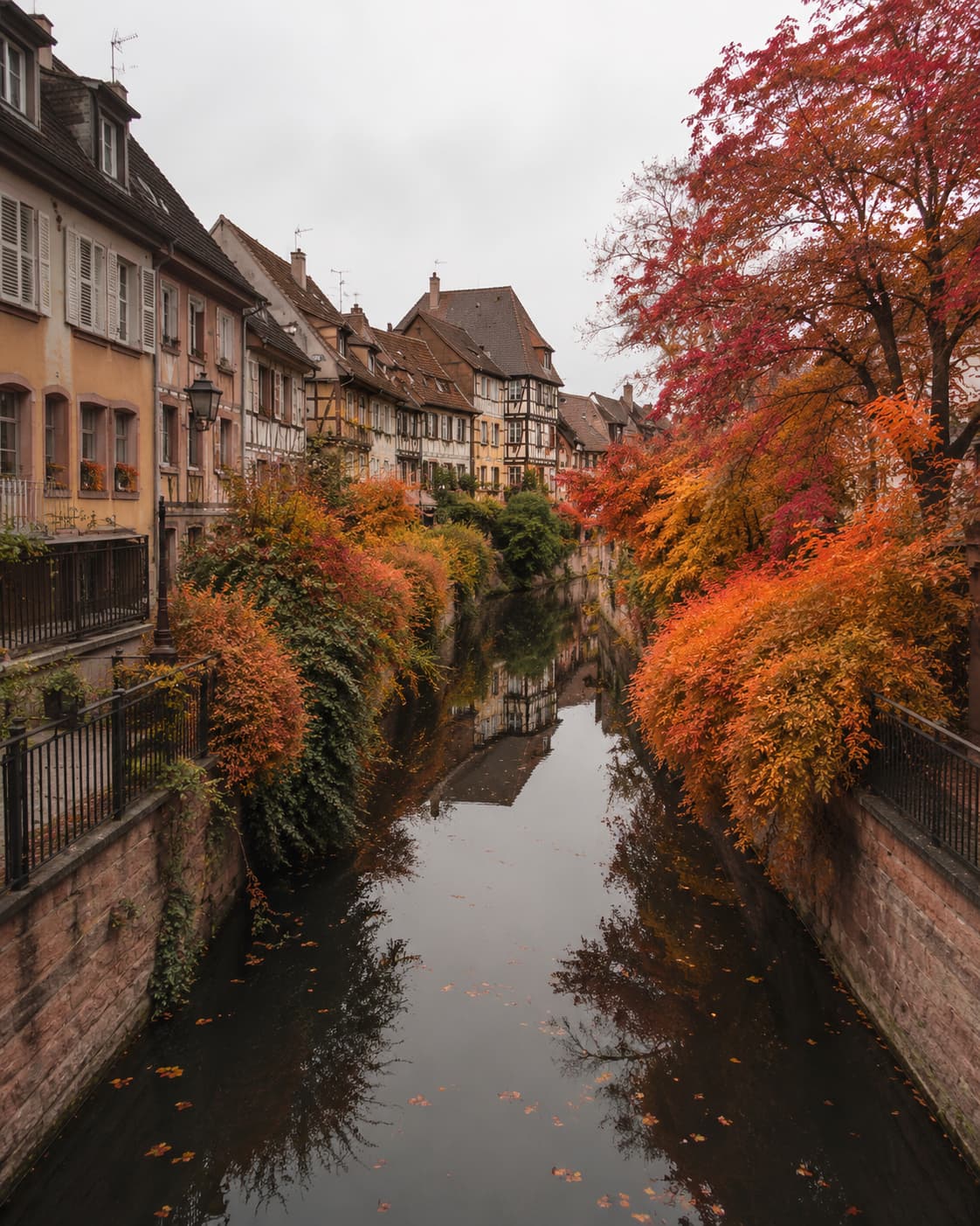 Colmar canal lined with autumn foliage in Alsace in autumn