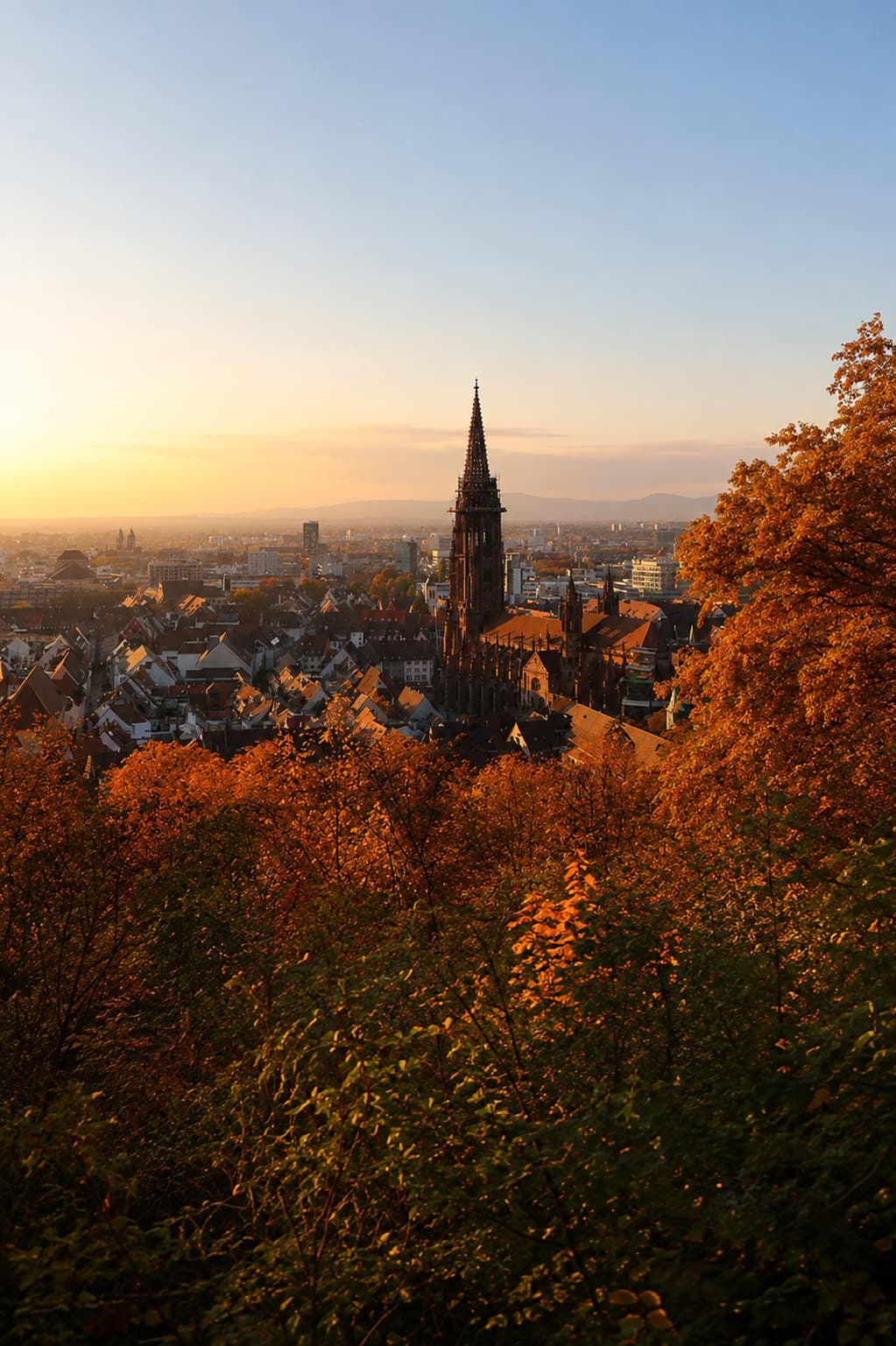 Freiburg Münster cathedral at sunset framed by orange autumn trees — golden light over the city seen from the hillside above