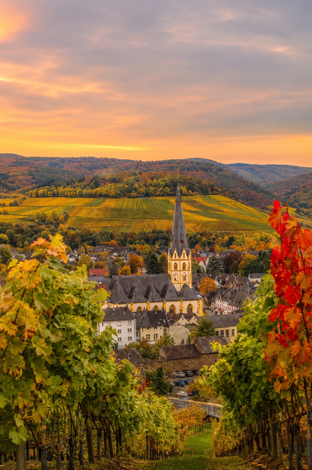 German wine village seen from the vineyard above in October — golden vine rows frame the church steeple, autumn hills rolling into the distance