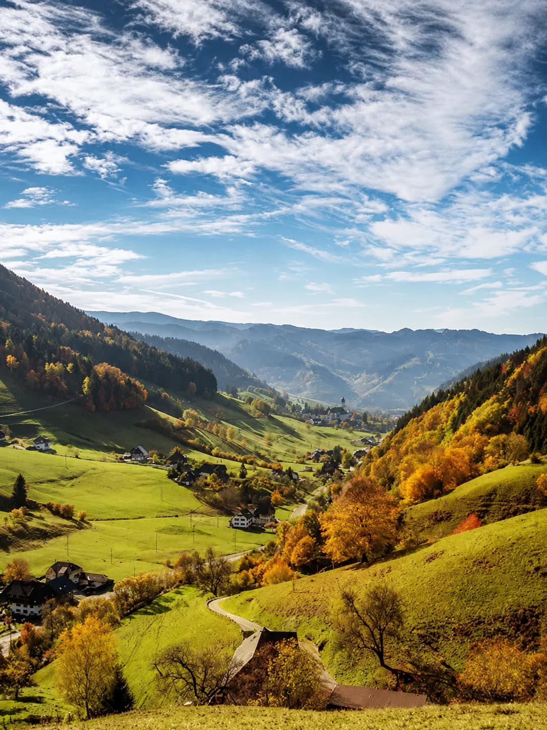 Black Forest valley in autumn — farmhouses scattered across green hills with amber trees on the slopes and a winding road below