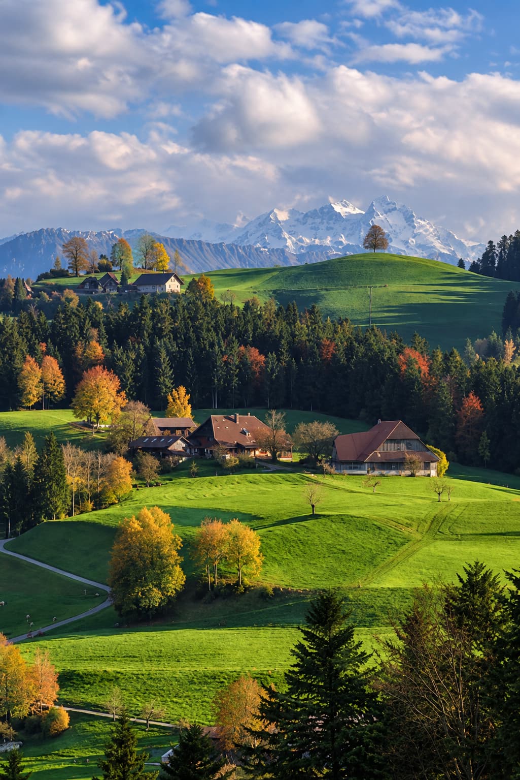 Rolling green hills in the Appenzell region of Switzerland with scattered farmhouses, autumn-coloured trees, and snow-capped peaks rising behind in soft afternoon light